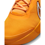 Teniso bateliai Nike Zoom Court Pro All Court Shoe Men